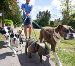 Paw Paw Pet Park - Pet Sitting Services and Dog Walking Service